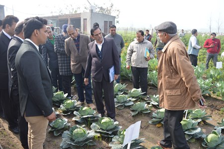 सफल किसान हरबीर सिंह की नर्सरी की फोटो 